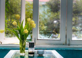 When to repair or replace your windows in London