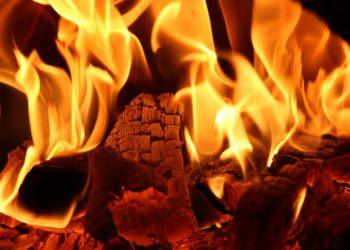 Record High Energy Prices: Is Wood Fuel the Answer?