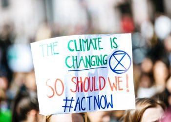 The Best Climate Change Jobs In 2022