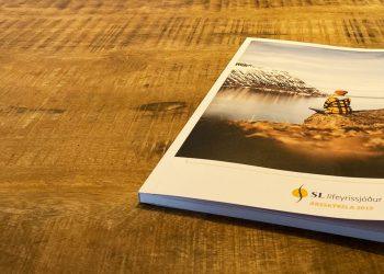 SL pension fund for newcomers to the workforce