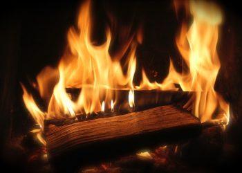Will Wood Fuel Be Affected By the Energy Price Crisis?