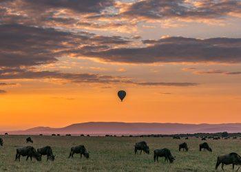 7 Reasons Why You Should Go On An African Safari