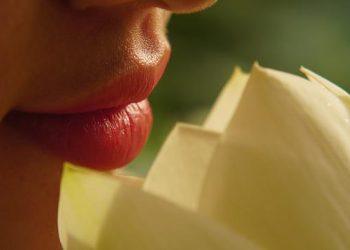 Major Newcastle Lip Filler Benefits