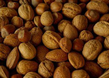 The Alternative Protein Section Is A Financial ‘Must Have’