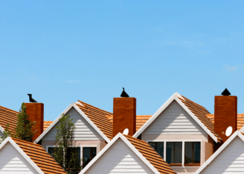 Professionals Have Expert Roofing Knowledge & Skills