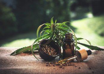 What To Expect From CBD Oil