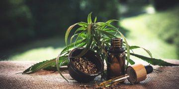 What To Expect From CBD Oil