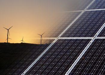 What are carbon markets and why are they important?