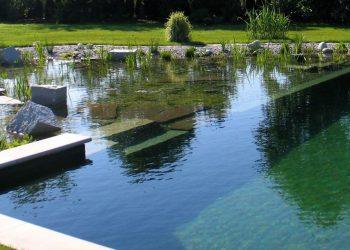 The Pros and Cons of a Natural Swimming Pool