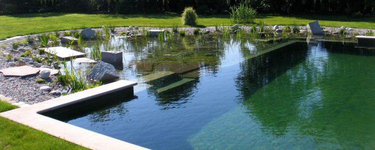 The Pros and Cons of a Natural Swimming Pool