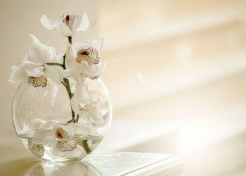 The Importance Of Floral Design In Retail And Hospitality