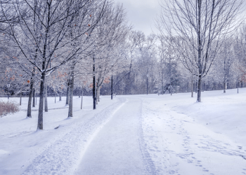 The Beast From The East Is Set To Return – Are You Ready?