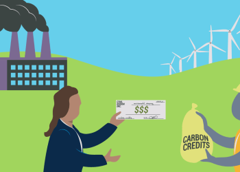 Steps to Offset Your Carbon Footprint