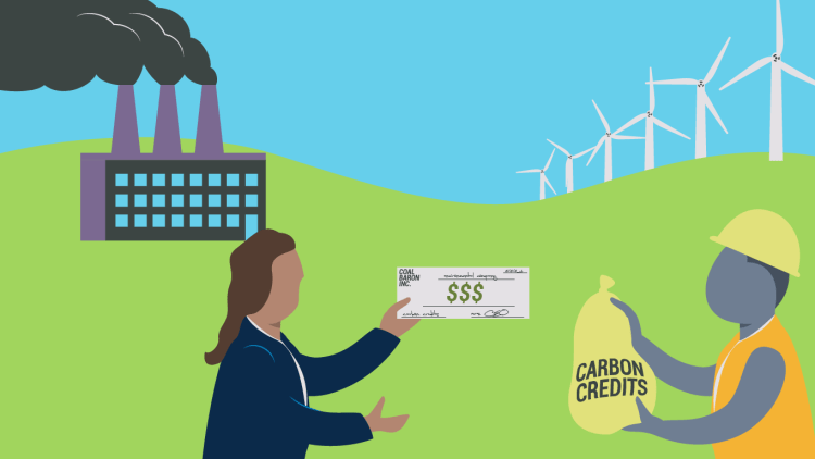 Steps to Offset Your Carbon Footprint