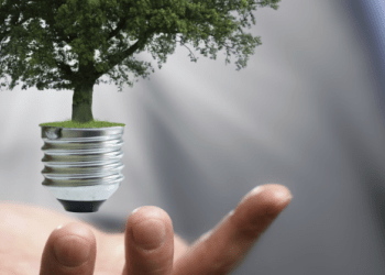 Sustainability Consulting: An Effective Strategy for Achieving Business Goals