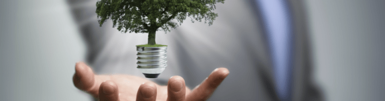 Sustainability Consulting: An Effective Strategy for Achieving Business Goals