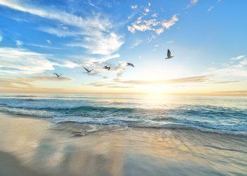 Why should I travel?