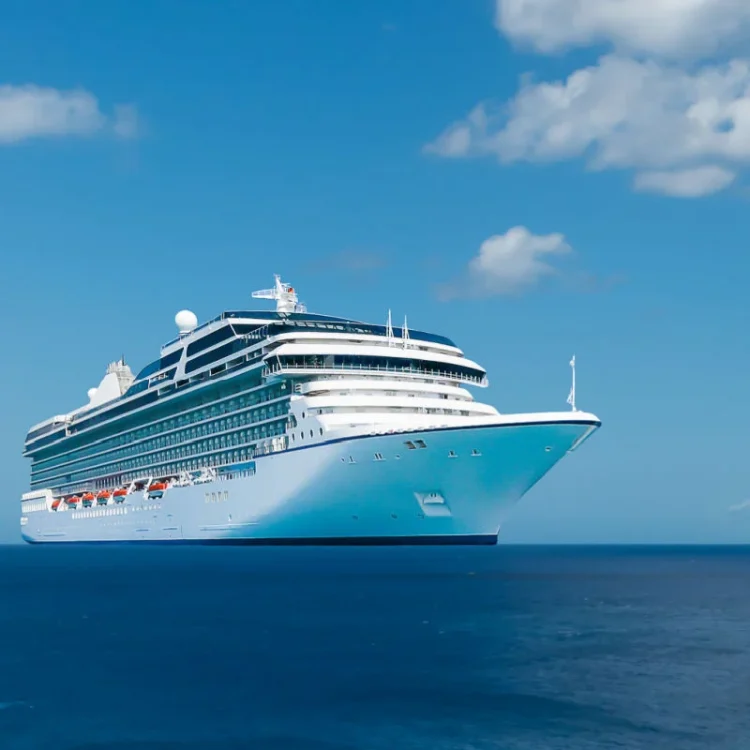 To Cruise or Not to Cruise?