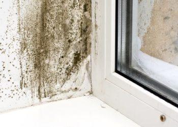 Why Use Housing Disrepair Solicitors?