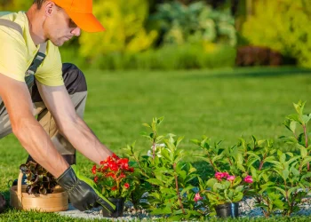 Why Hire An Oxford Landscaper?