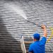 Reasons To Choose Wiltshire Roof Cleaning