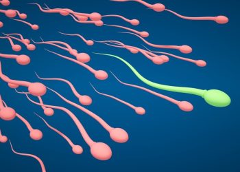 What to Expect During a Male Fertility Test