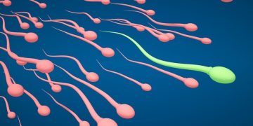 What to Expect During a Male Fertility Test