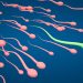 What to Expect During a Male Fertility Test