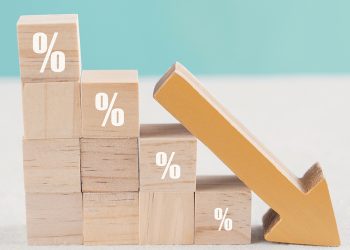 Exploring the Link Between Development Finance Rates and Investment Risk
