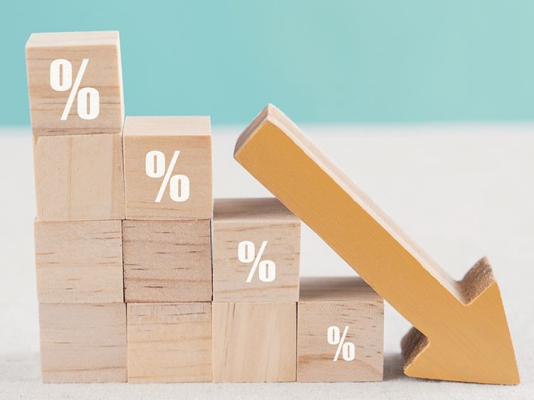 Exploring the Link Between Development Finance Rates and Investment Risk