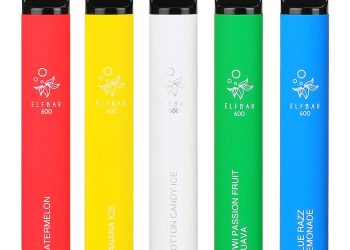 Disposable Vapes: A Beginner’s Guide to the Instant Gratification of Vaping