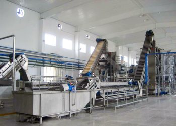 Ready to Score Reliable Equipment? Tips for Used Machinery Auctions
