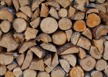Choosing the Right Firewood: A Comprehensive Guide