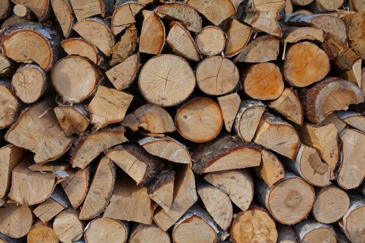 Choosing the Right Firewood: A Comprehensive Guide