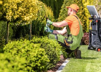 The Benefits of Hiring a Landscaping Contractor in Birmingham