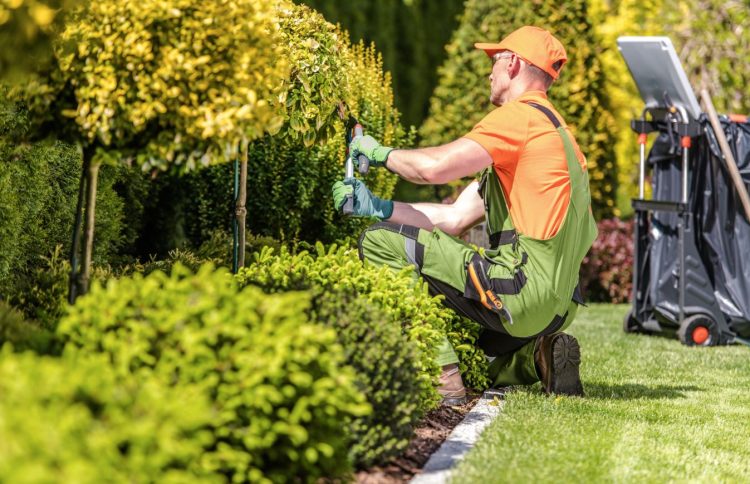 The Benefits of Hiring a Landscaping Contractor in Birmingham