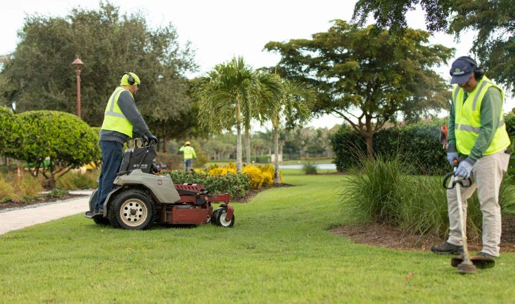 Crafting Nature: The Unparalleled Advantages of Expert Landscaping Services