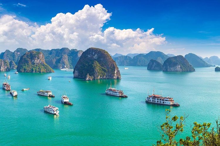 Exploring the Hidden Gems of Vietnam: The Advantages of Opting for a Guided Tour