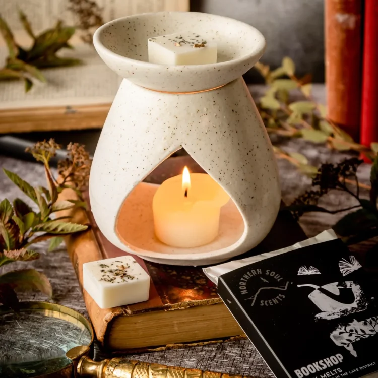 How to Choose the Right Wax Melt Warmer for Your Needs