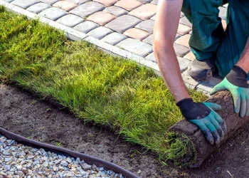 The Art of Perfect Gardens: How a Lichfield Landscaping Company Can Enhance Your Home