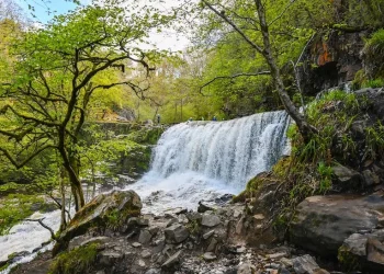 Brecon’s Natural Wonders: Waterfalls Await on Scenic Walking Trails