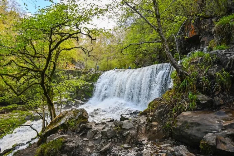Brecon’s Natural Wonders: Waterfalls Await on Scenic Walking Trails
