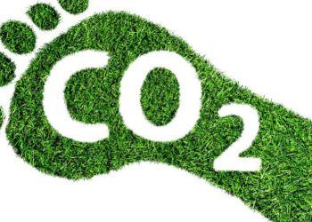 Investing in Green: Unlocking the Financial and Environmental Benefits of Carbon Footprint Consulting