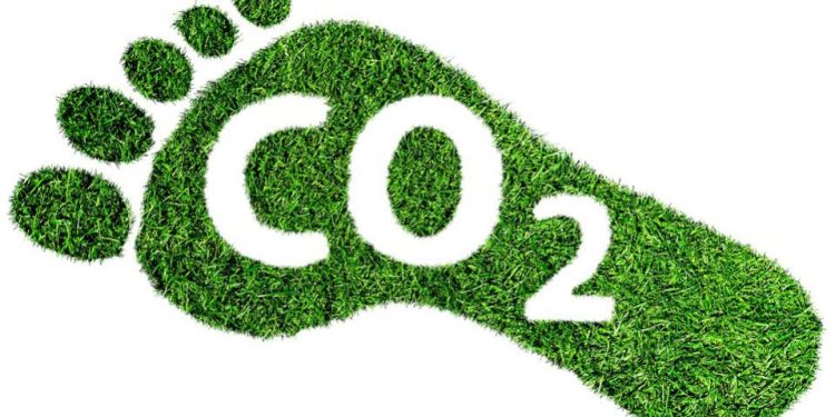 Investing in Green: Unlocking the Financial and Environmental Benefits of Carbon Footprint Consulting