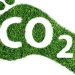 Investing in Green: Unlocking the Financial and Environmental Benefits of Carbon Footprint Consulting