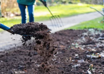 The Benefits of Compost Mulch for Your Garden: Retaining Moisture and Suppressing Weeds