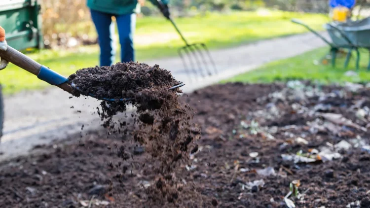 The Benefits of Compost Mulch for Your Garden: Retaining Moisture and Suppressing Weeds