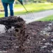 The Benefits of Compost Mulch for Your Garden: Retaining Moisture and Suppressing Weeds