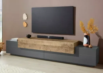 Harmonizing Design and Practicality: The Art of Choosing the Right TV Stand for Your Home
