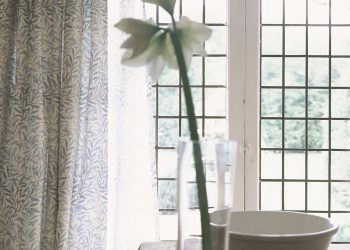 William Morris Willow Bough: A Masterpiece of Nature-Inspired Design
